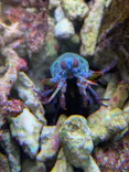 幼魚水族館に投稿された画像（2026/3/30）