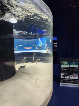 シン・マリホ水族館に投稿された画像（2026/3/30）