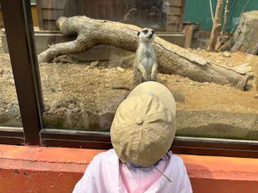 しろとり動物園に投稿された画像（2026/3/30）