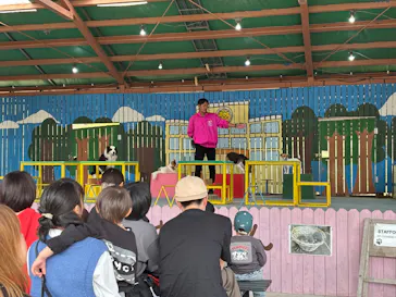 しろとり動物園に投稿された画像（2026/3/30）