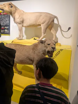 特別展「超危険生物展　科学で挑む生き物の本気」に投稿された画像（2026/3/30）