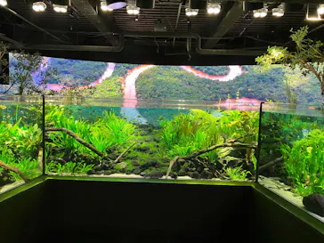 カワスイ 川崎⽔族館に投稿された画像（2026/3/30）