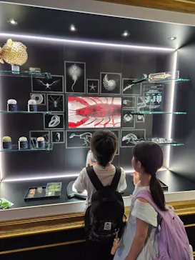 AQUARIUM × ART　atoaに投稿された画像（2026/3/30）