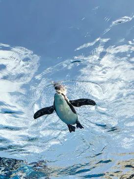 サンシャイン水族館に投稿された画像（2026/3/30）
