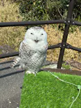 伊豆シャボテン動物公園に投稿された画像（2026/3/30）