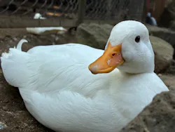 伊豆シャボテン動物公園に投稿された画像（2026/3/30）