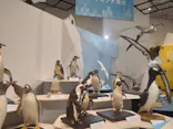 特別展「鳥 ～ゲノム解析が解き明かす新しい鳥類の系統～」に投稿された画像（2026/3/30）