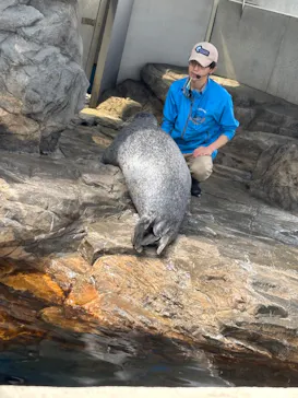 しながわ水族館に投稿された画像（2026/3/30）