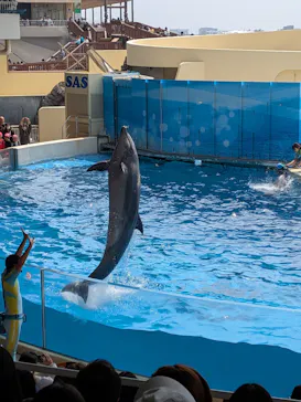 新江ノ島水族館に投稿された画像（2026/3/30）