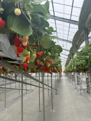 折原果樹園に投稿された画像（2026/3/30）