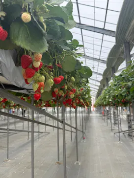 折原果樹園に投稿された画像（2026/3/30）