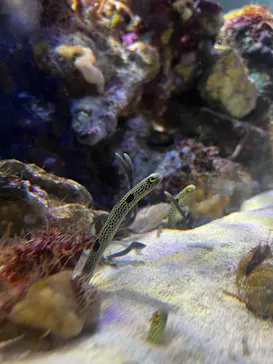 名古屋港水族館に投稿された画像（2026/3/30）