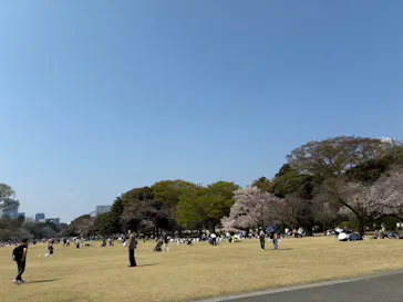 新宿御苑に投稿された画像（2026/3/30）