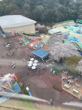 日本モンキーパークに投稿された画像（2026/3/30）