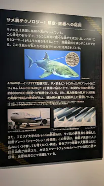 特別展「超危険生物展　科学で挑む生き物の本気」に投稿された画像（2026/3/30）