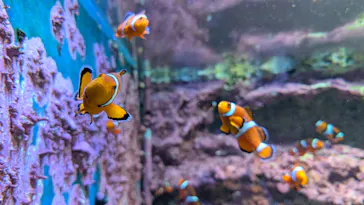 サンシャイン水族館に投稿された画像（2026/3/30）