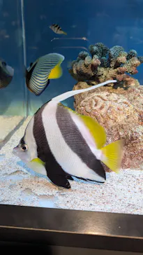 サンシャイン水族館に投稿された画像（2026/3/30）