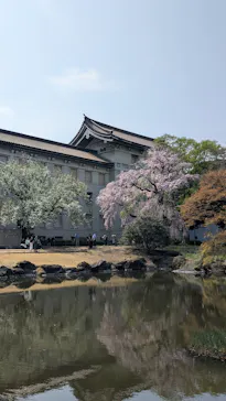 東京国立博物館に投稿された画像（2026/3/30）