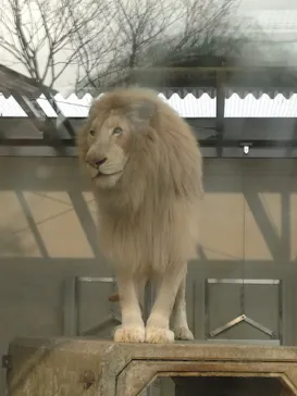 宇都宮動物園に投稿された画像（2026/3/30）