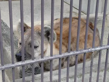 宇都宮動物園に投稿された画像（2026/3/30）