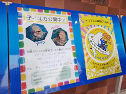 島根県立 しまね海洋館に投稿された画像（2026/3/30）