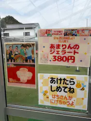 折原果樹園に投稿された画像（2026/3/30）