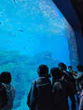 仙台うみの杜水族館に投稿された画像（2026/3/30）