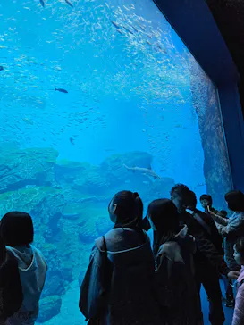 仙台うみの杜水族館に投稿された画像（2026/3/30）