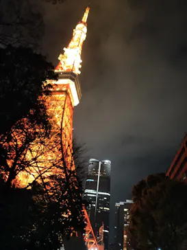 東京タワーに投稿された画像（2026/3/30）