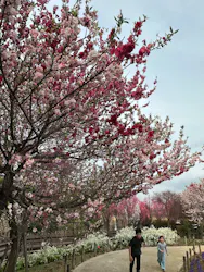東武動物公園に投稿された画像（2026/3/30）