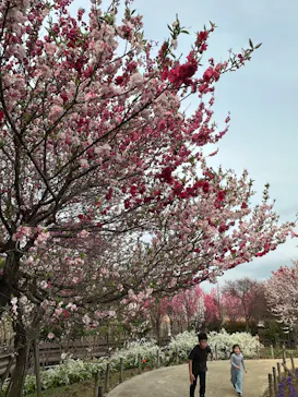 東武動物公園に投稿された画像（2026/3/30）