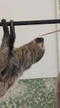 Moff animal world BIGHOPガーデンモール印西店に投稿された画像（2026/3/30）