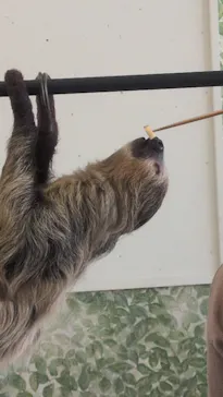 Moff animal world BIGHOPガーデンモール印西店に投稿された画像（2026/3/30）