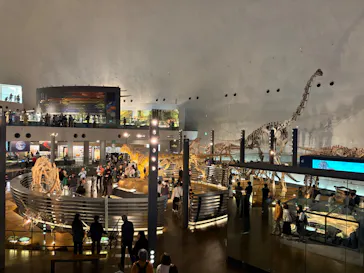 福井県立恐竜博物館に投稿された画像（2026/3/30）