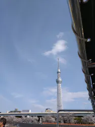 東京スカイツリーに投稿された画像（2026/3/30）