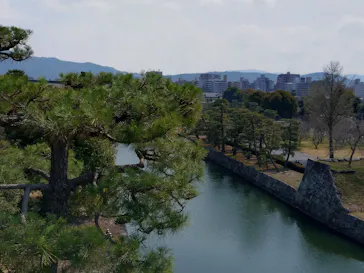 元離宮二条城に投稿された画像（2026/3/30）