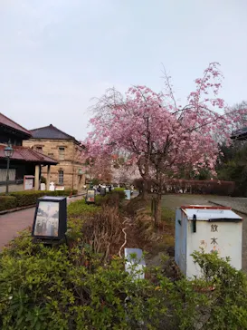博物館 明治村に投稿された画像（2026/3/30）