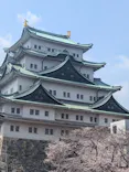 名古屋城に投稿された画像（2026/3/30）