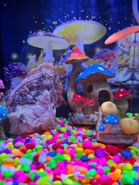 ひらかたパークに投稿された画像（2026/3/30）