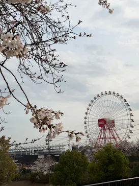鈴鹿サーキットに投稿された画像（2026/3/30）