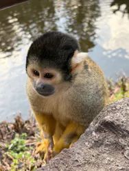 伊豆シャボテン動物公園に投稿された画像（2026/3/30）