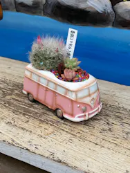 伊豆シャボテン動物公園に投稿された画像（2026/3/30）