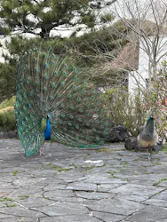 伊豆シャボテン動物公園に投稿された画像（2026/3/30）