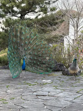 伊豆シャボテン動物公園に投稿された画像（2026/3/30）