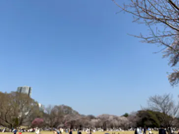 新宿御苑に投稿された画像（2026/3/30）