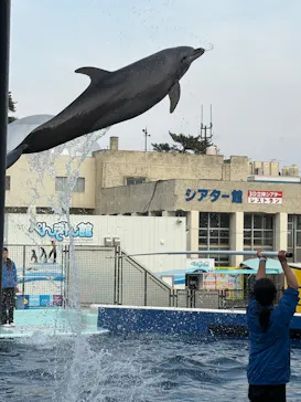 越前松島水族館に投稿された画像（2026/3/30）