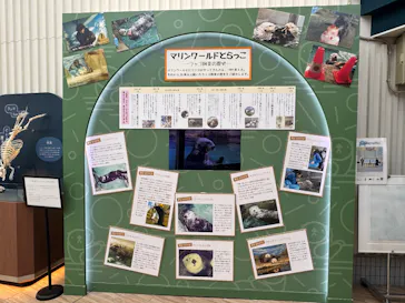 マリンワールド海の中道に投稿された画像（2026/3/30）