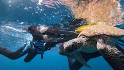 SHISHI石垣島（シシイシガキジマ）に投稿された画像（2026/3/30）