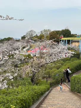 ひらかたパークに投稿された画像（2026/3/30）