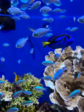 沖縄美ら海水族館に投稿された画像（2026/3/30）